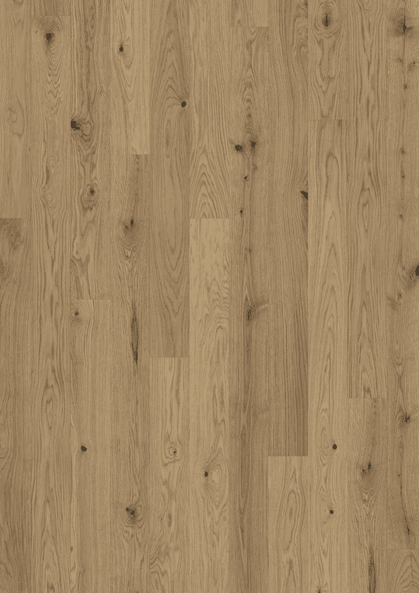 Canvas Collection - Image 7