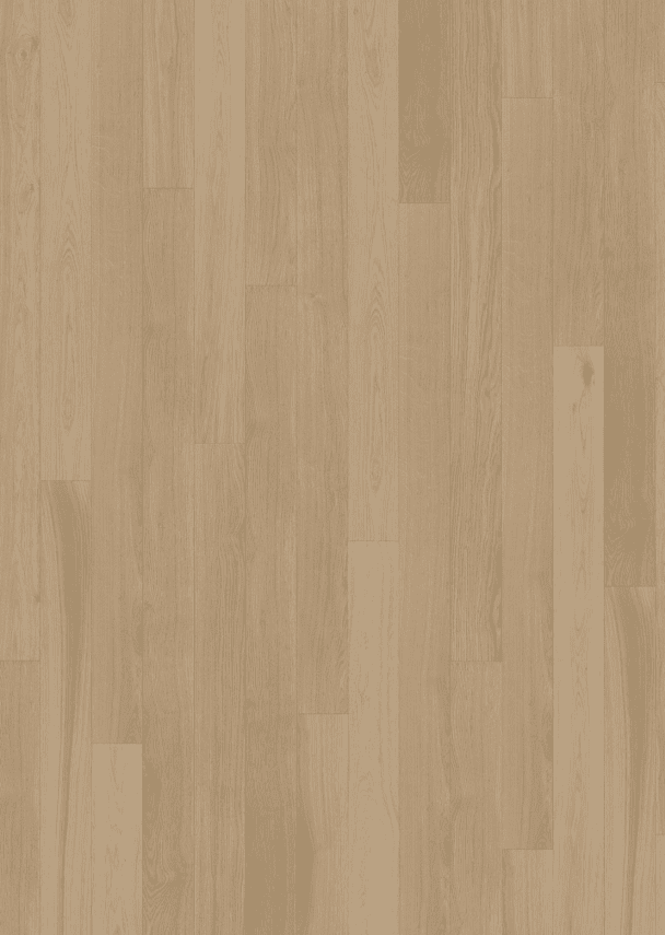 Canvas Collection - Image 2
