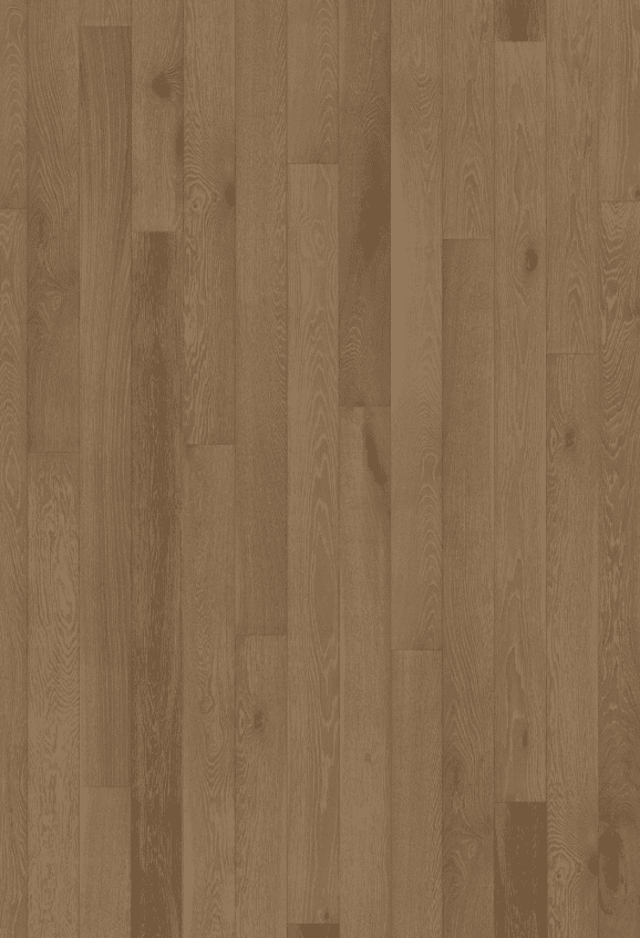 Canvas Collection - Image 8