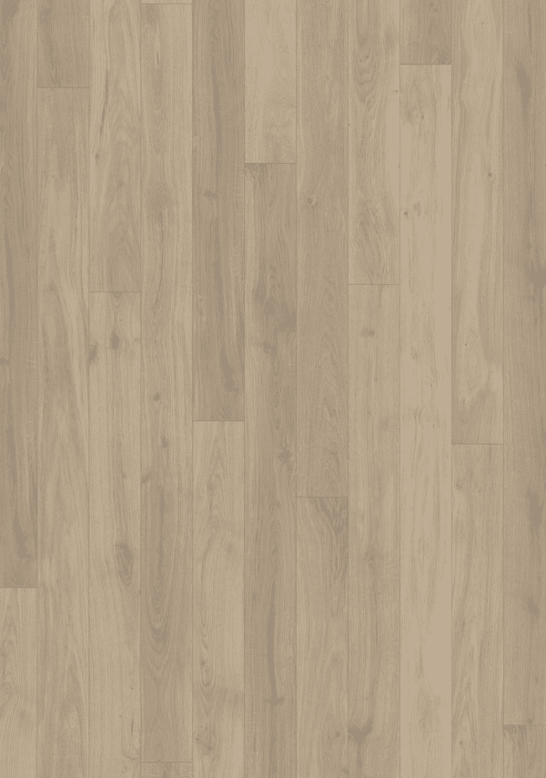 Canvas Collection - Image 3