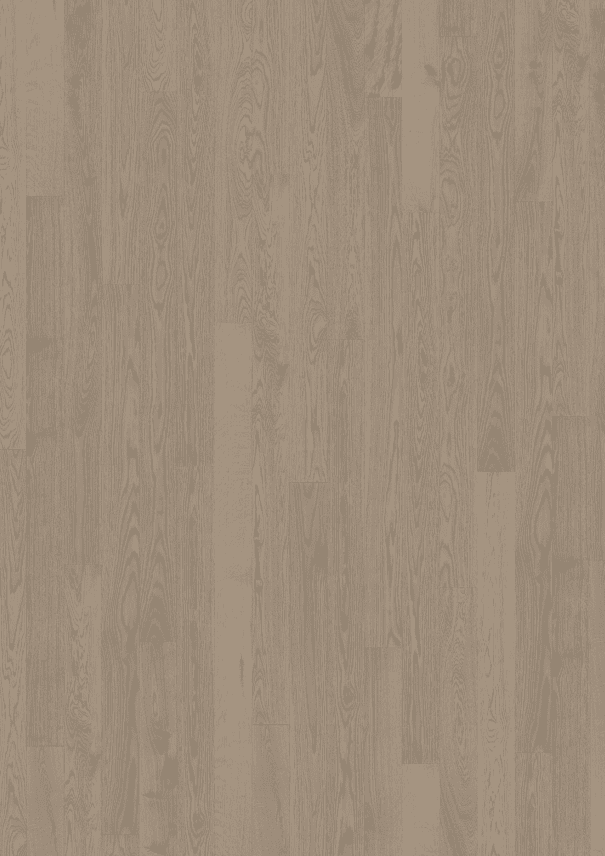 Canvas Collection - Image 4