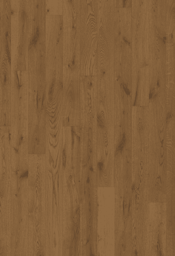 Canvas Collection - Image 5
