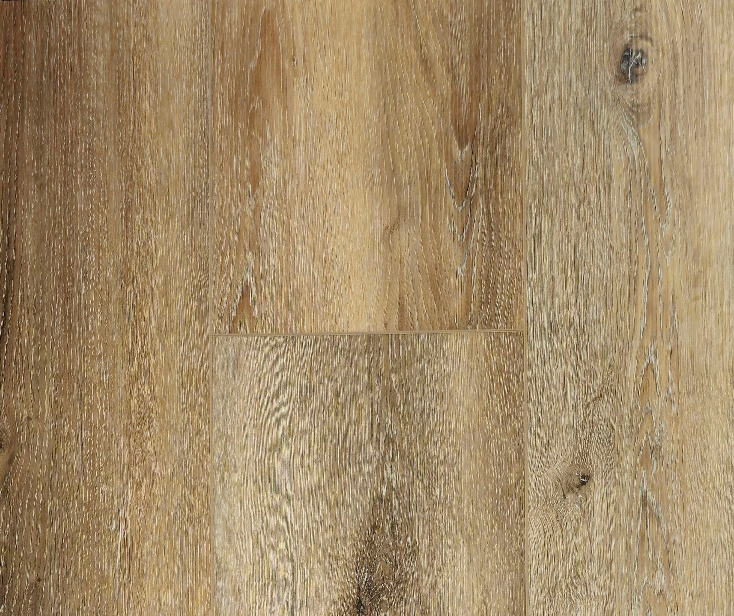 Impressions - Image 8