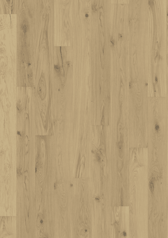 BEYOND RETRO COLLECTION - Image 6