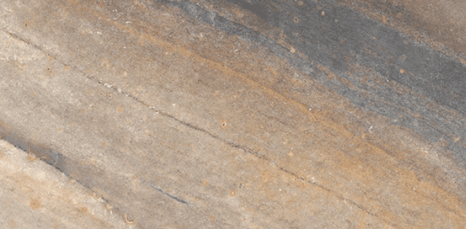 Casabella Evolution Collection - Image 2