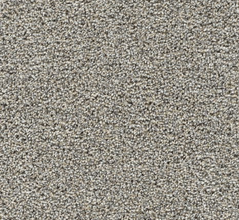 Dreamweaver GOLD STANDARD I/II/III Collection - Image 16