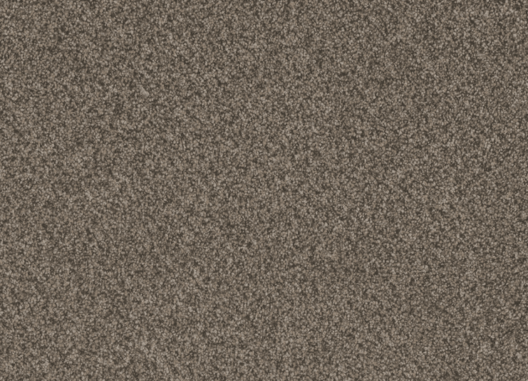 Dreamweaver TITAN I/II/III Collection - Image 5