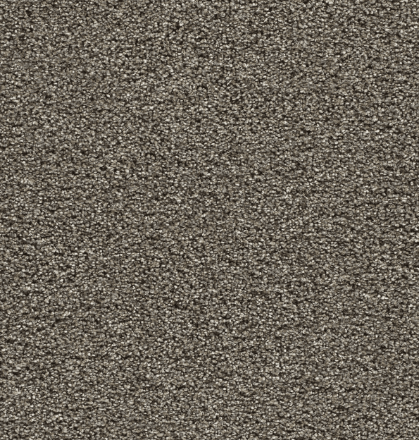 Dreamweaver GOLD STANDARD I/II/III Collection - Image 6