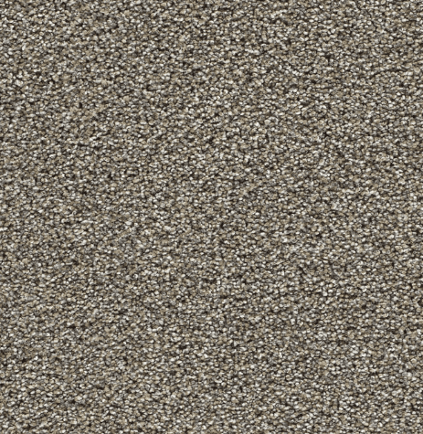 Dreamweaver GOLD STANDARD I/II/III Collection - Image 10