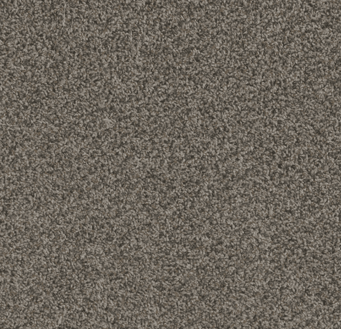 Dreamweaver HOT PURSUIT Collection - Image 7