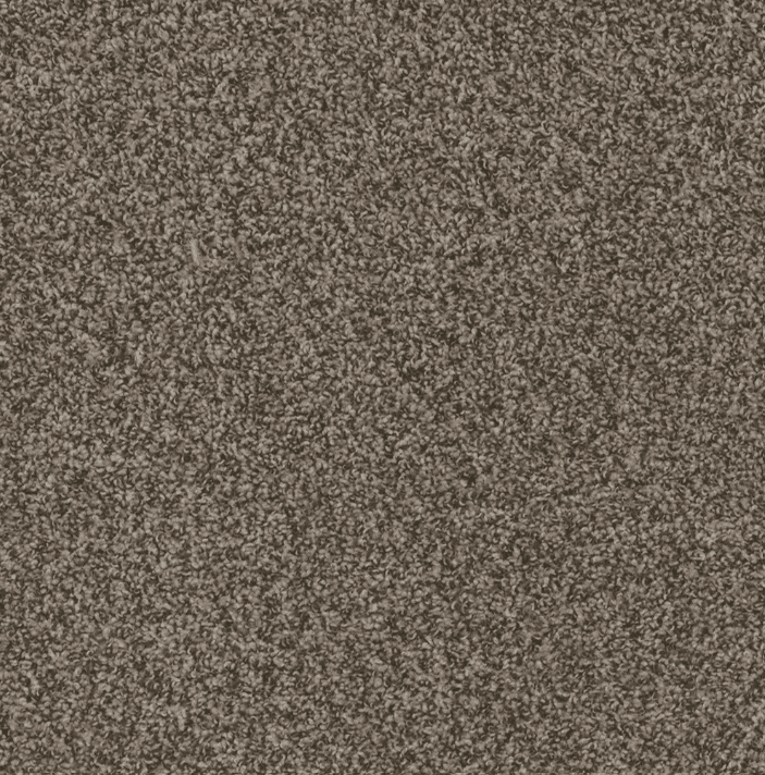 Dreamweaver HOT PURSUIT Collection - Image 3