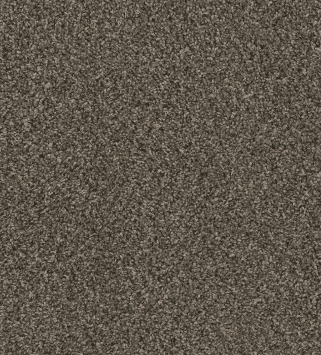 Dreamweaver HOT PURSUIT Collection - Image 8