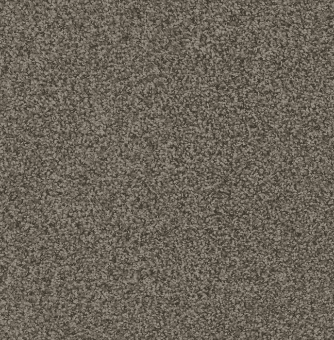 Dreamweaver HOT PURSUIT Collection - Image 4