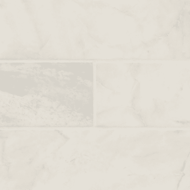 MSI ARABESCATO VENATO Collection - Image 4