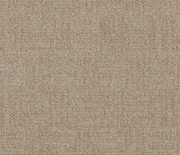 Dreamweaver CLASSIC ELEMENTS Collection - Image 15