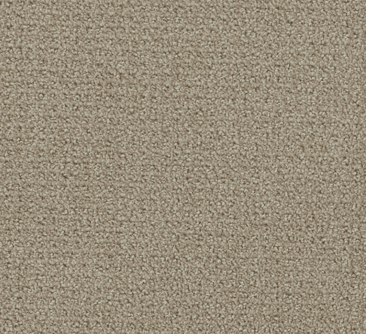 Dreamweaver PINPOINT Collection - Image 2