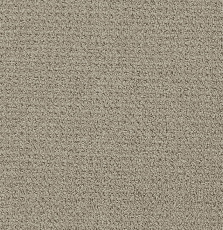 Dreamweaver PINPOINT Collection - Image 4