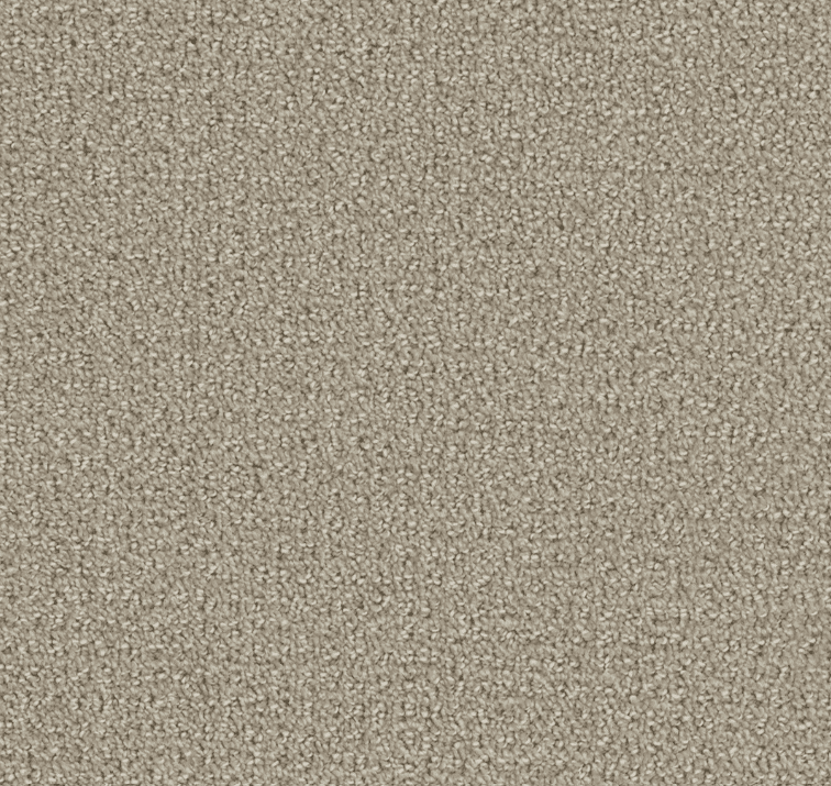 Dreamweaver PINPOINT Collection - Image 11