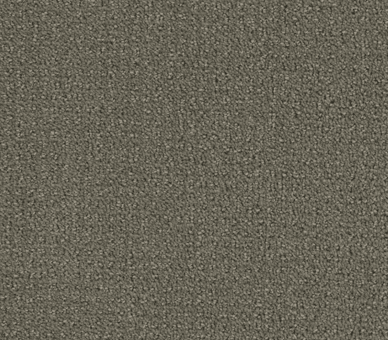 Dreamweaver PINPOINT Collection - Image 3