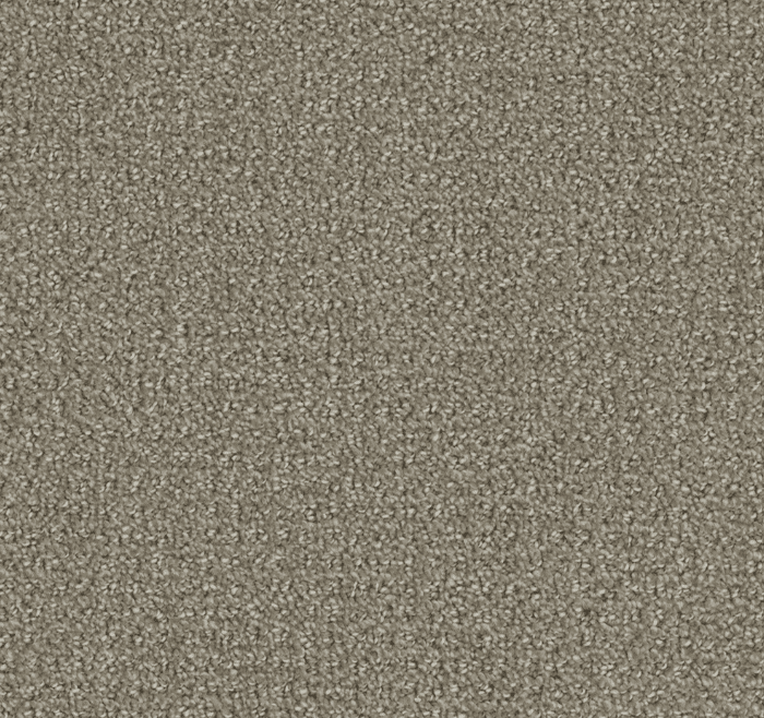 Dreamweaver PINPOINT Collection - Image 10