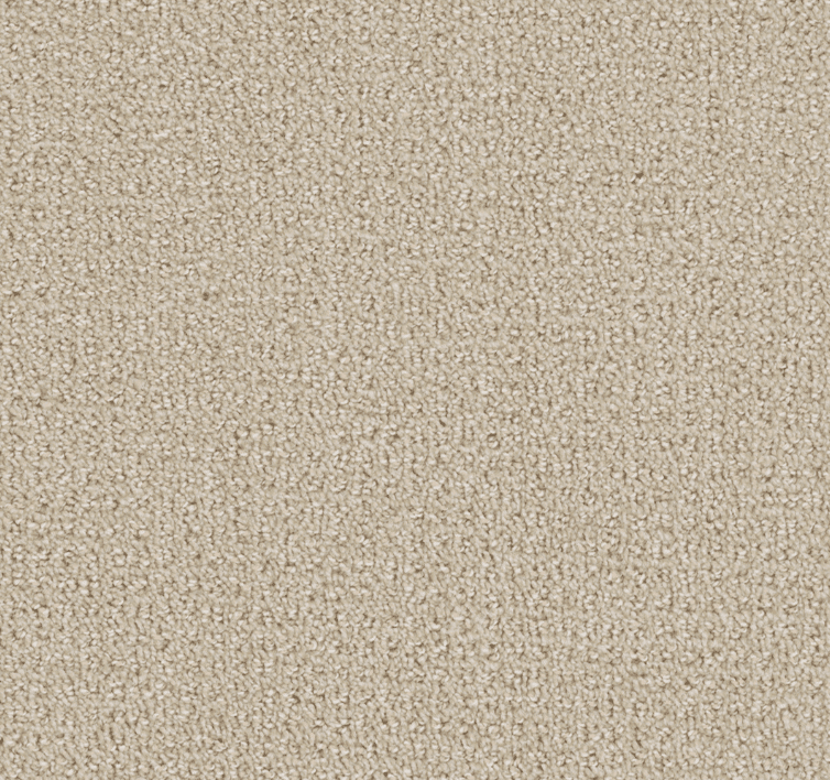Dreamweaver PINPOINT Collection - Image 17