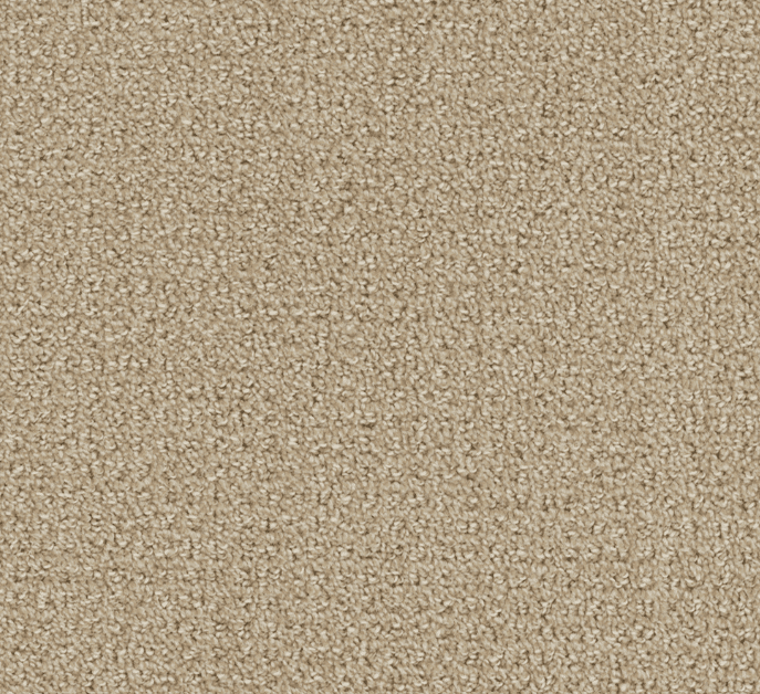 Dreamweaver PINPOINT Collection - Image 14