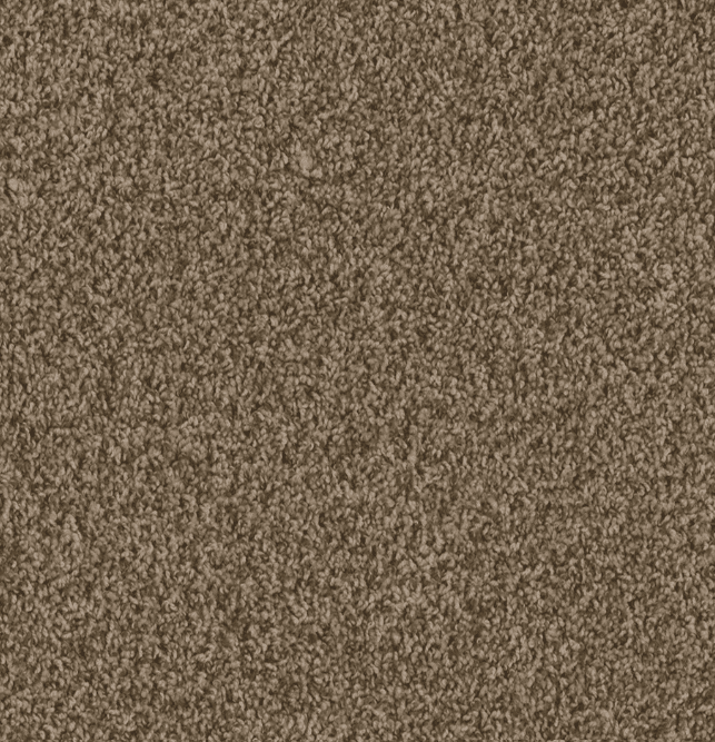 Dreamweaver HOT PURSUIT Collection - Image 15