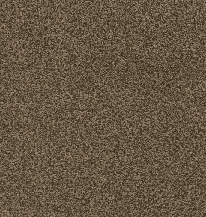 Dreamweaver HOT PURSUIT Collection - Image 5