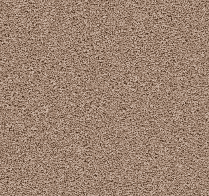 Dreamweaver STAR STRUCK Collection - Image 23