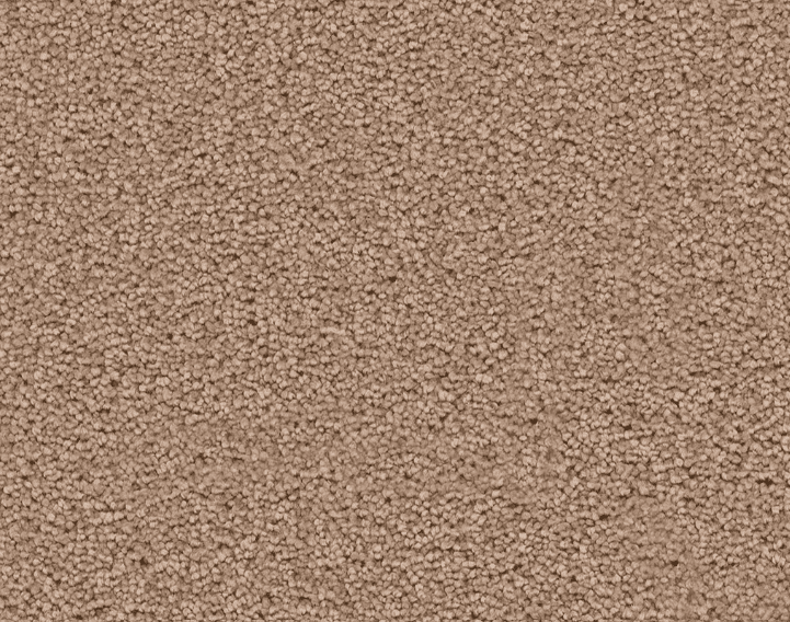 Dreamweaver STAR STRUCK Collection - Image 24