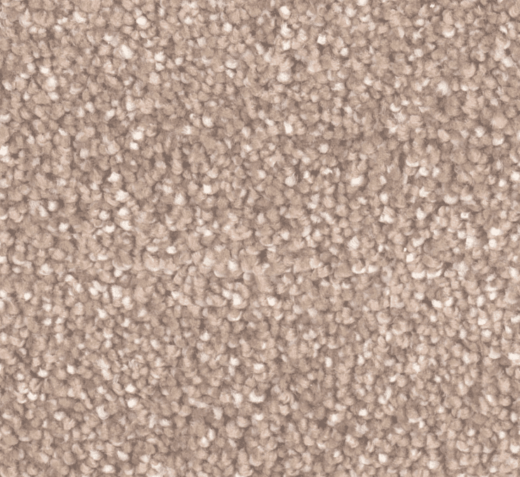 Dreamweaver STAR STRUCK Collection - Image 22