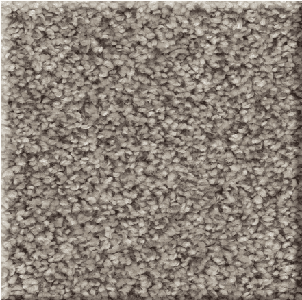 Shaw AFFIRMATIONS I/II Collection - Image 8
