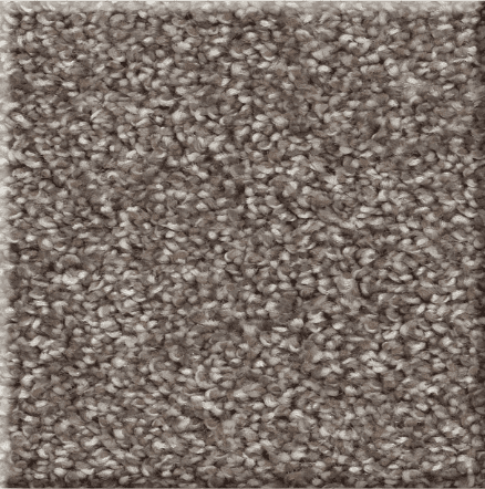 Shaw AFFIRMATIONS I/II Collection - Image 18