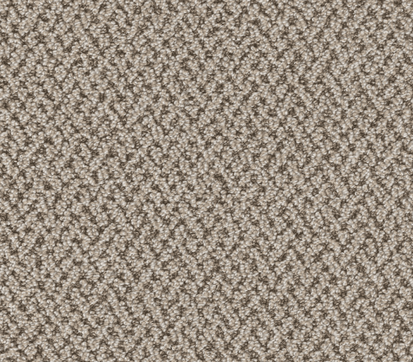 Dreamweaver CRETE Collection - Image 4
