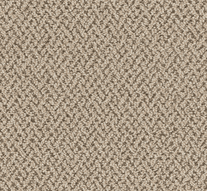 Dreamweaver CRETE Collection - Image 7