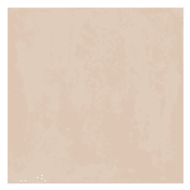 Florida Tile CLAYMONT Collection - Image 6