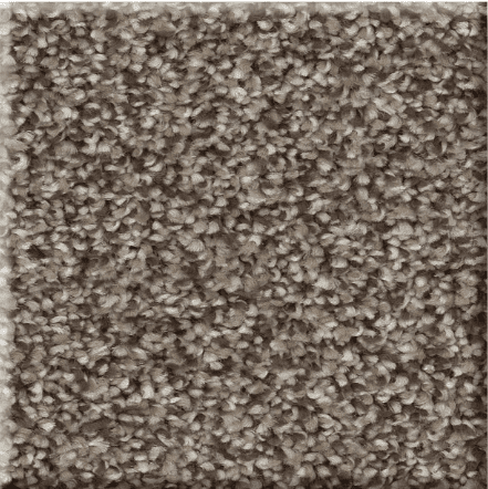 Shaw AFFIRMATIONS I/II Collection - Image 16