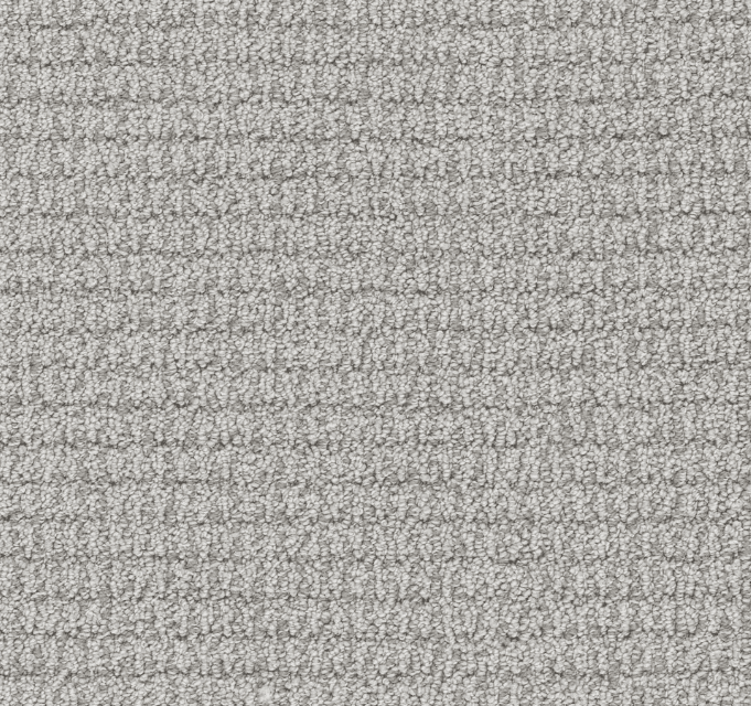 Dreamweaver PALMA Collection - Image 5