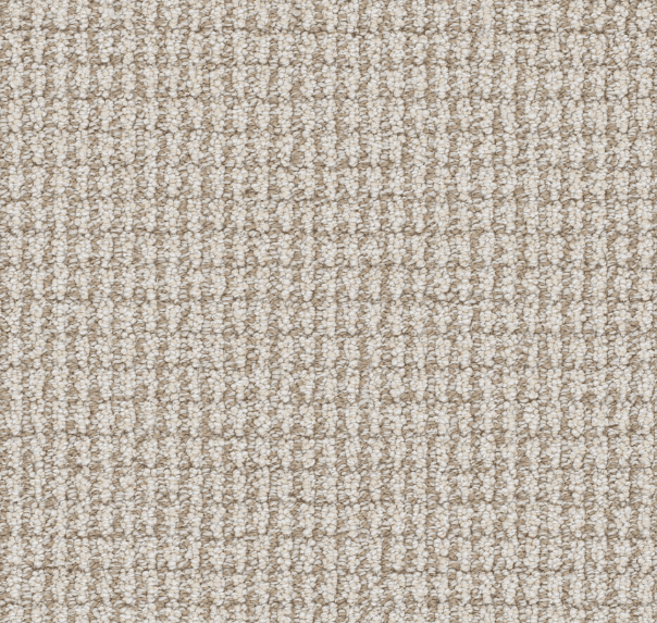 Dreamweaver PALMA Collection - Image 4