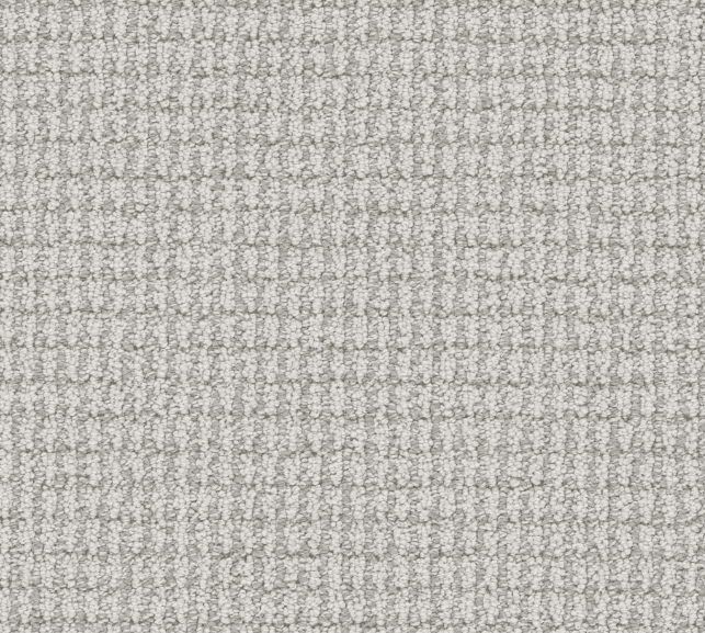 Dreamweaver PALMA Collection - Image 8