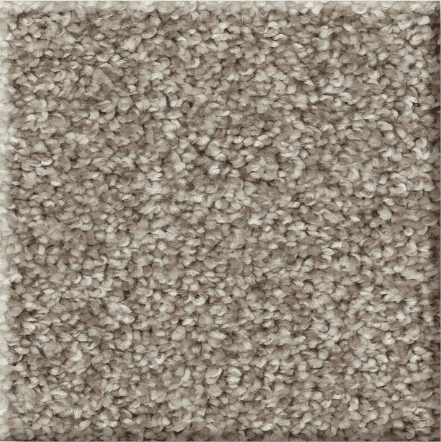 Shaw AFFIRMATIONS I/II Collection - Image 7