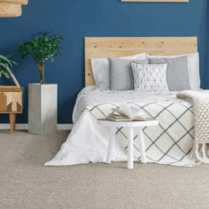 Dreamweaver GOLD STANDARD I/II/III Collection