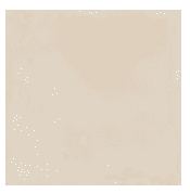 Florida Tile CLAYMONT Collection - Image 5