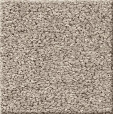 Shaw AFFIRMATIONS I/II Collection - Image 3