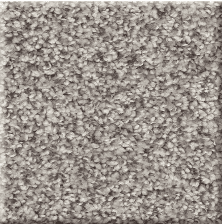 Shaw AFFIRMATIONS I/II Collection - Image 12