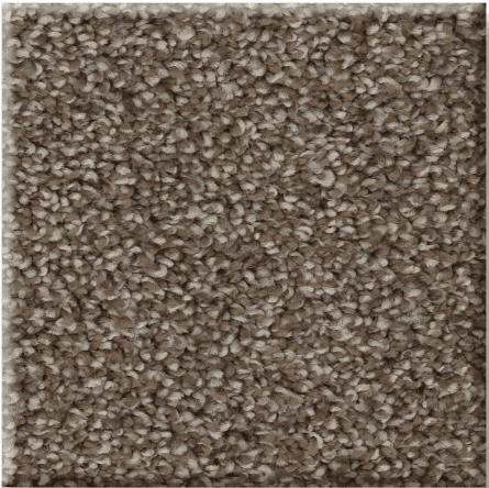 Shaw AFFIRMATIONS I/II Collection - Image 15