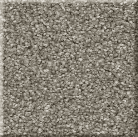 Shaw AFFIRMATIONS I/II Collection - Image 5