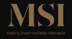 MSI Logo