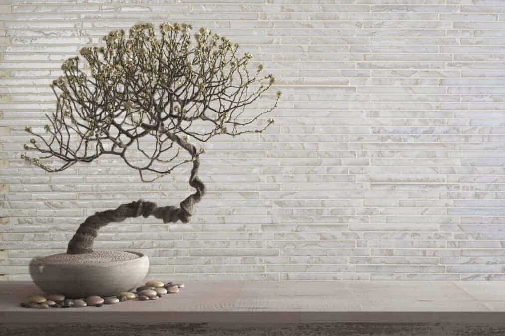 REALSTONE SYSTEMS TEMPERED Mosaic Collection